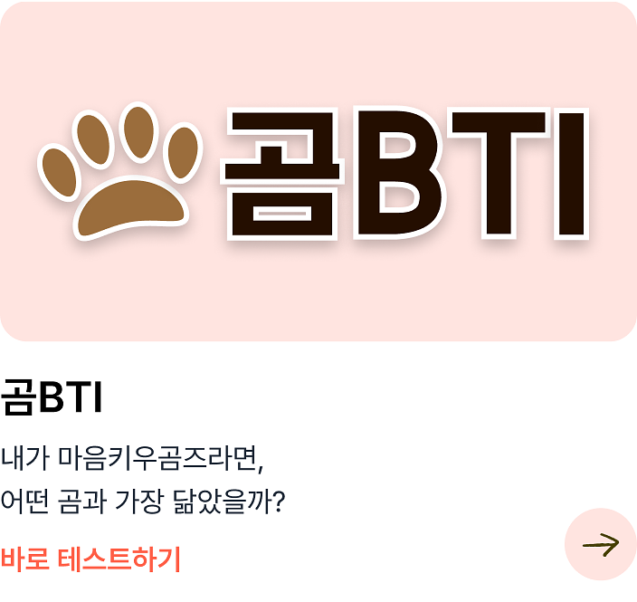 곰BTI